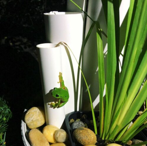 Curated visual reference: Visual Reference: 8 Awesome Backyard Wildlife Habitats Kids Can Create
