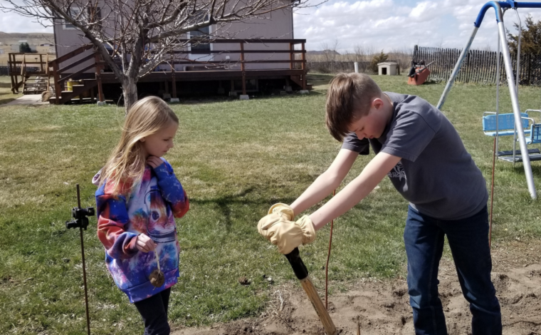 Helping Out Digging