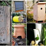 Bug Hotels, Toad Houses, and Other Backyard Wildlife Habitats Kids Can Create Bug Hotels, Toad Houses, and Other Backyard Wildlife Habitats Kids Can Create