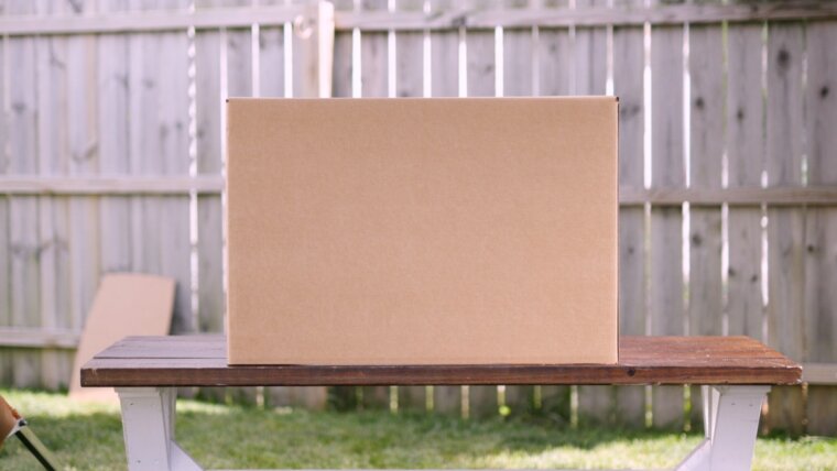 Cardboard TV box