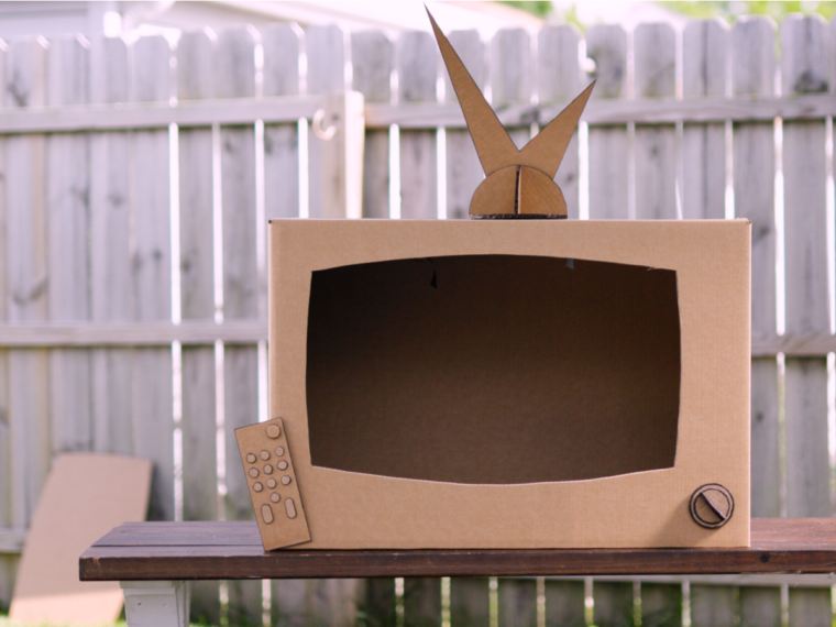 Cardboard TV Let Grow