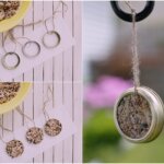 DIY Bird Feeders Kids Can Make on Their Own