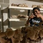 This 12-Year-Old Entrepreneur Started a Business Growing Mushrooms in His Basement This 12-Year-Old Entrepreneur Started a Business Growing Mushrooms in His Basement