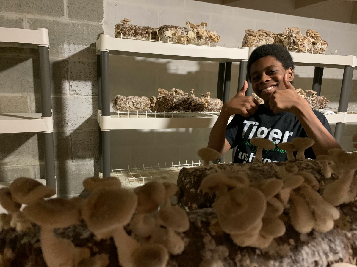 mushroom farm 3