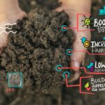 Wondering What to Feed Your Kids? Try a Little Dirt Wondering What to Feed Your Kids? Try a Little Dirt