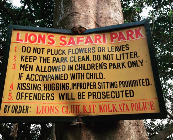 Funny Signs Lions
