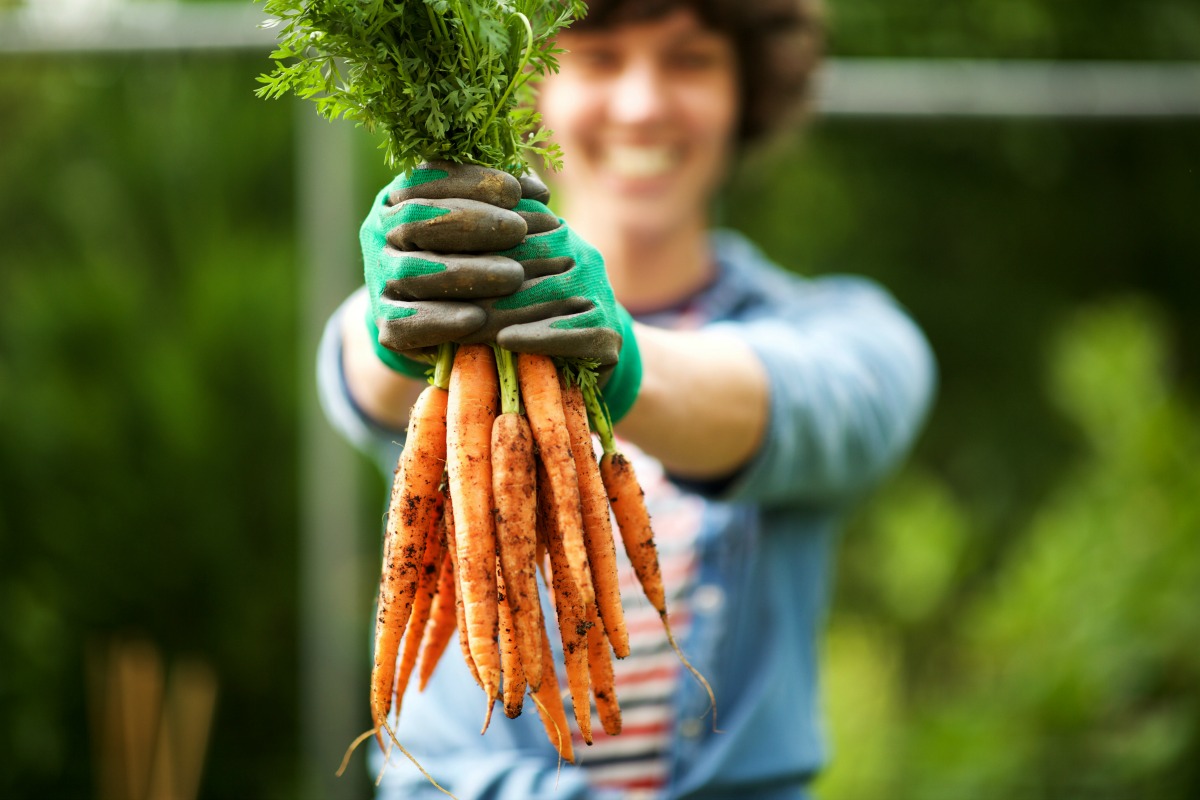 Growing a Victory Garden Might Be Just the Thing Your Family Needs