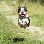 18 Happy, Uplifting, and Positive Ideas to Help You Get through Quarantine 18 Happy, Uplifting, and Positive Ideas to Help You Get through Quarantine