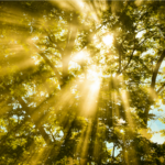 Going Outside Will Keep Us Happier During This Time of Social Distancing Going Outside Will Keep Us Happier During This Time of Social Distancing