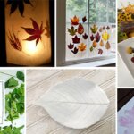 7 Leaf Project Ideas and Experiments to Try This Fall 7 Leaf Project Ideas and Experiments to Try This Fall