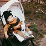 The Imperative of Movement by Barbara Chutroo The Imperative of Movement by Barbara Chutroo