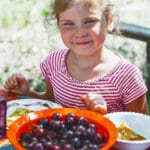 Third Weekly Summer of Independence Challenge: Picnic Time! Third Weekly Summer of Independence Challenge: Picnic Time!