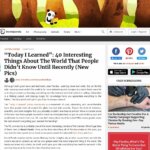 Peter Gray in Bored Panda: "Kids need free time to develop curiosity, courage."