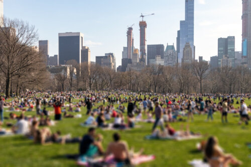 Blurred crowds of people relaxing on the lawn in Central Park on a sunny day in New York City NYC