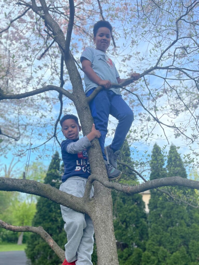 Olivia Boys In Tree 1