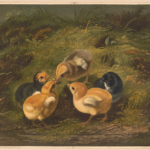 Child, 5, Cooks for Whole Family (And Becomes World Famous) Child, 5, Cooks for Whole Family (And Becomes World Famous)