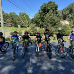 Mama Bear and the 5th Grade Bullying Incident