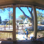 “Arrest Moms Who Let Their Kids Play Outside?” Asks The New York Times